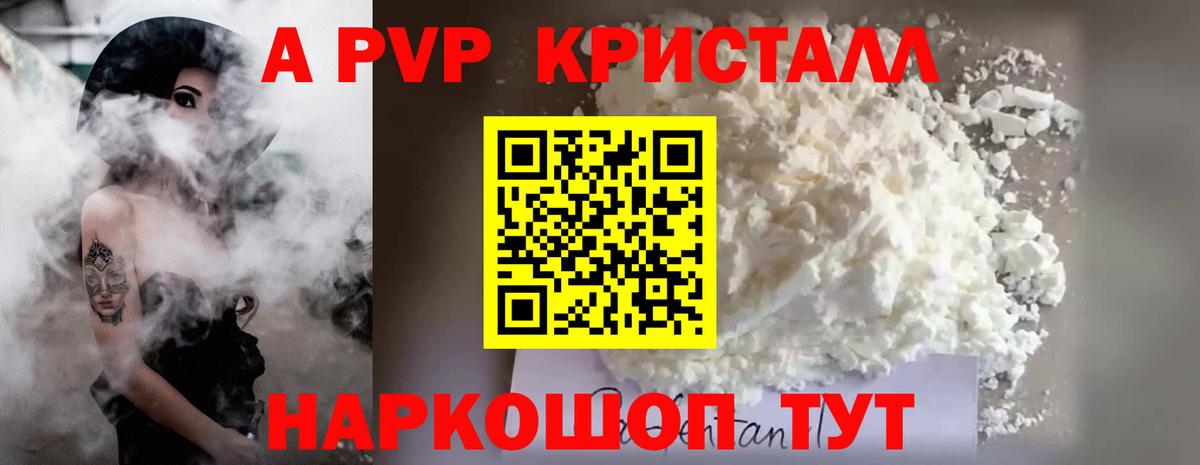 A PVP СК Долгопрудный