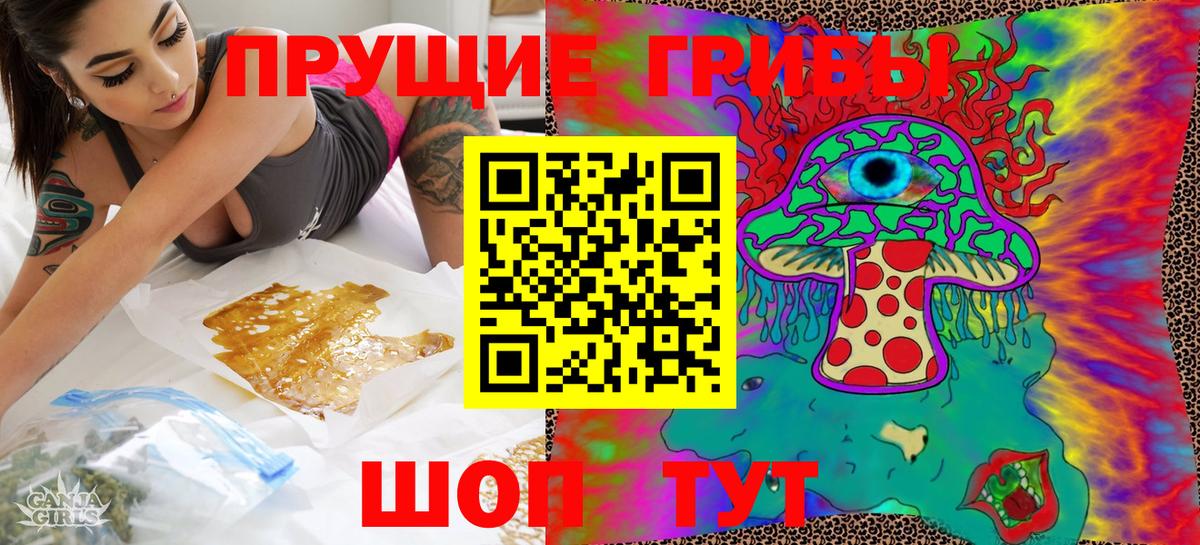 Галлюциногенные грибы прущие грибы  Галлюциногенные грибы прущие грибы  Вход с VPN  Долгопрудный 