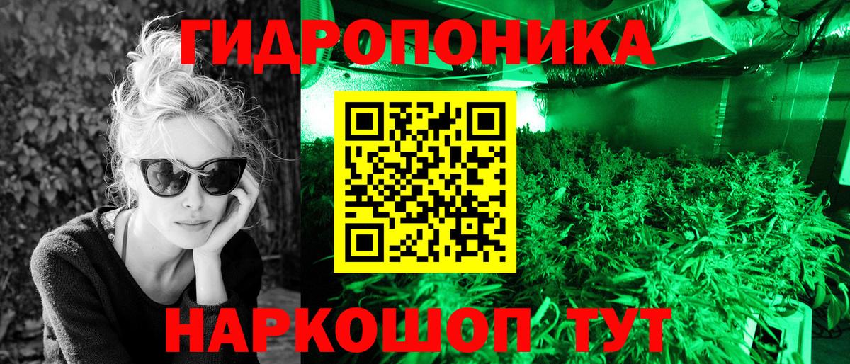 Бошки Шишки VHQ Долгопрудный